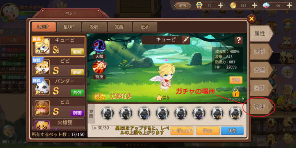 アストラテイルのペット画面