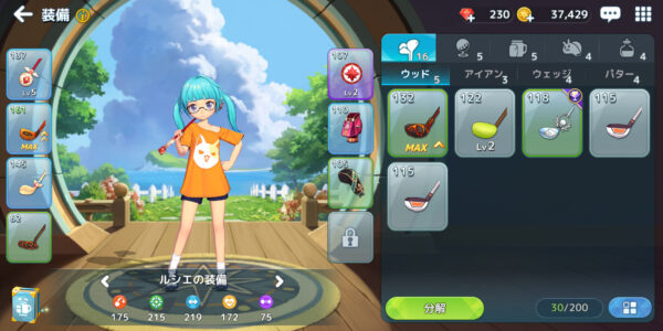バーディークラッシュの装備画面