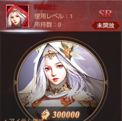 ラストラグナロクの神聖騎士画像