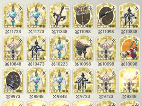 エグゾスヒーローズ 運命装備