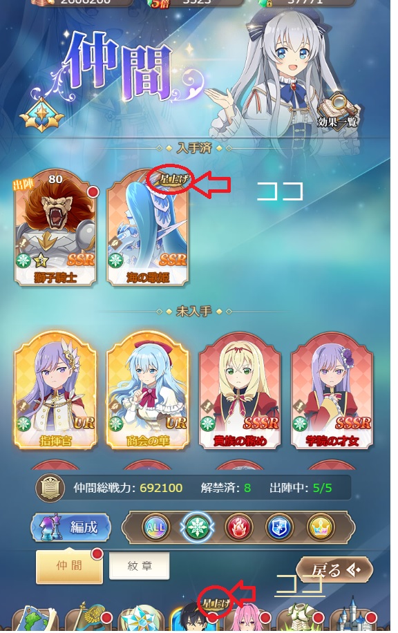 精霊幻想記アナザーテイル　星上げ表示