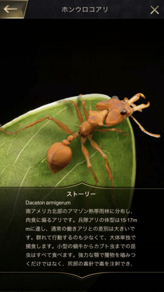 ザアンツのリセマラ・交換コード・どんなゲーム