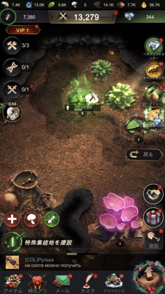 ザアンツの戦闘力の上げ方やアリの強化・育成方法、強化孵化とは?分かりやすくご紹介いたします!