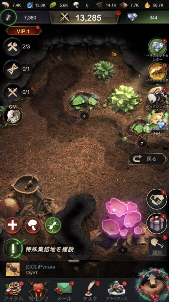 ザアンツの戦闘力の上げ方やアリの強化・育成方法、強化孵化とは?分かりやすくご紹介いたします!