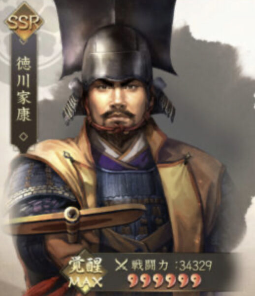 新信長の野望の家康