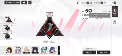 エコカリのバッジ強化