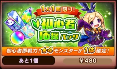 ミステリーレコード　初心者応援パック