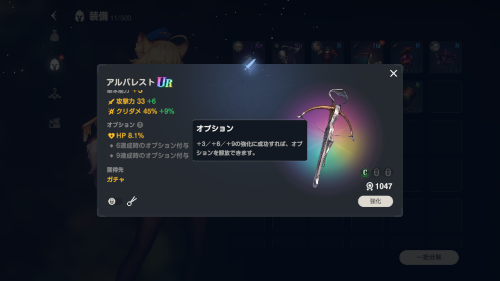 ブラウンダスト2　装備のオプションについて